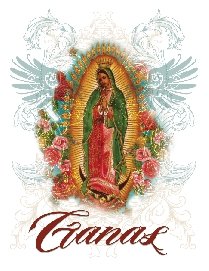 Womens Virgin Guadalupe- white